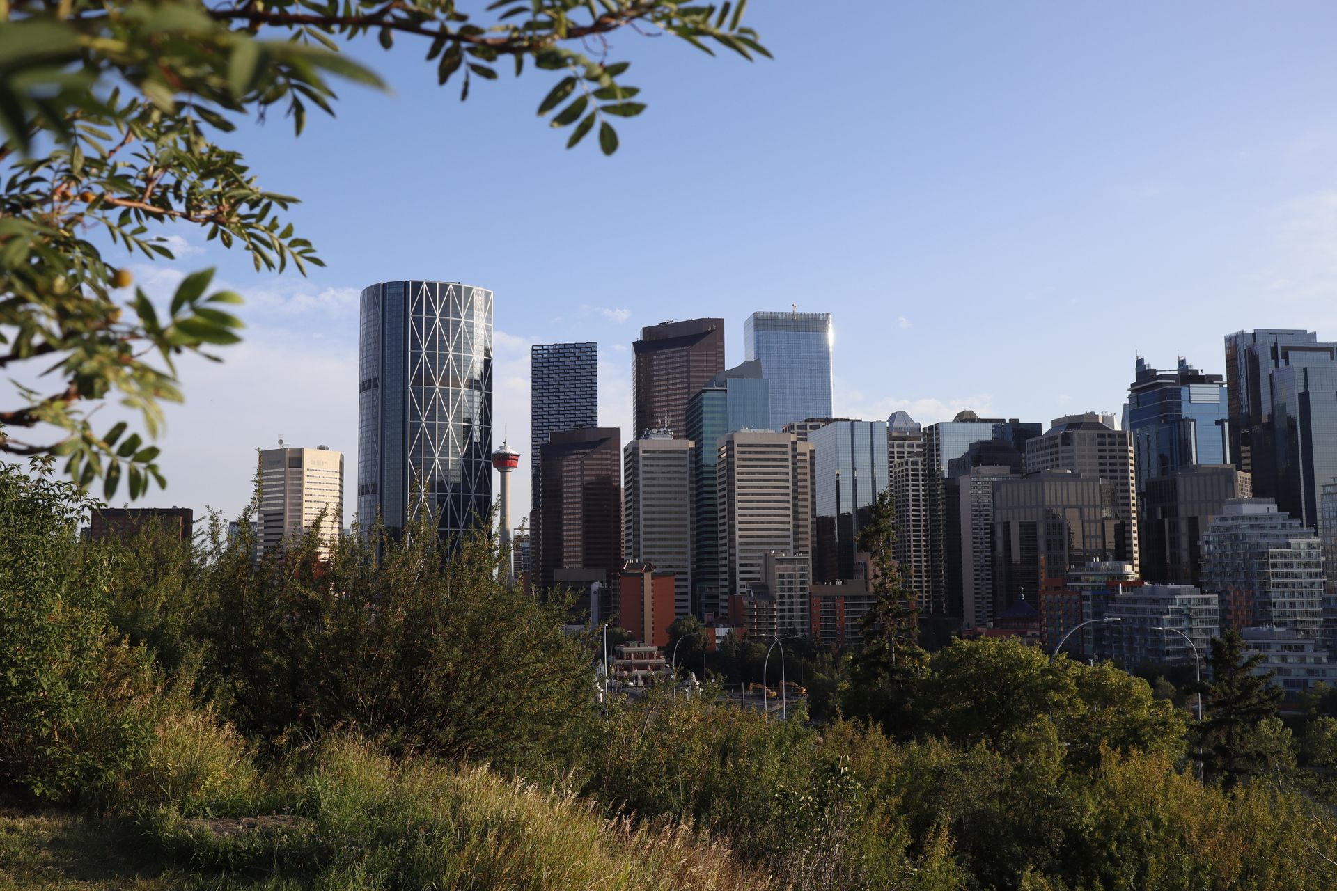 Downtown Calgary skyline with the Calgary Tower on a clear day, framed by trees in the foreground